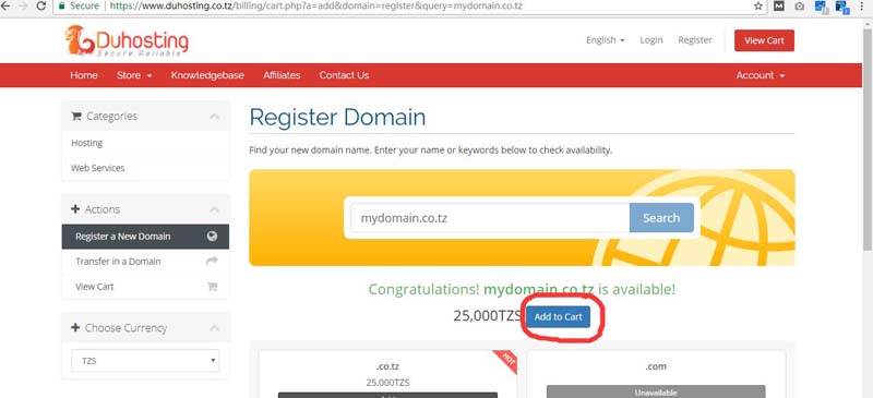 Domain Registration