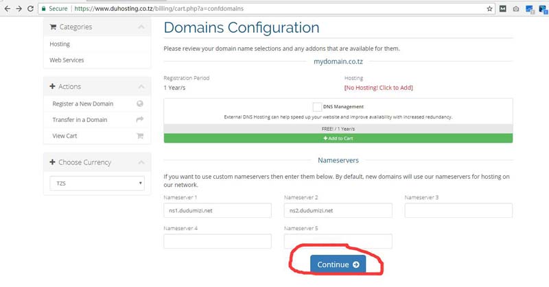 Looking for Tanzania Domain name and Hosting compnies