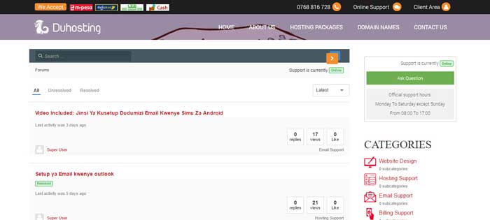 Muonekano wa Website Design and Hosting Support